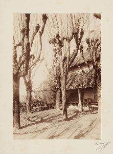 Anonyme, La terrasse de la maison de Ravier à Morestel, 11 avril 1887. Signé, non déchiffré. Épreuve sur papier albuminé, collé sur carton, signée datée. 17x12 cm. Coll. part.