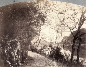 F. Thiollier, photogr. Ravier au bord du Rhône, 1889, coll. CBT